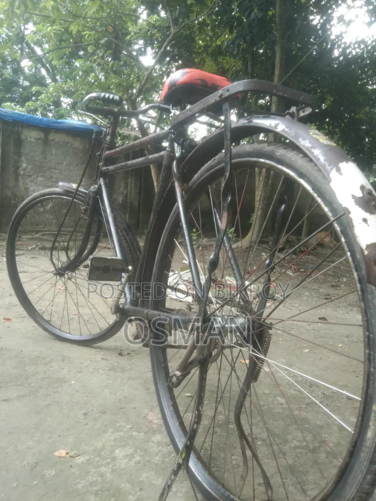 ফিনিক্স সাইকেল