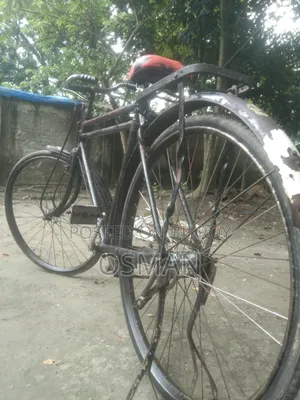 ফিনিক্স সাইকেল