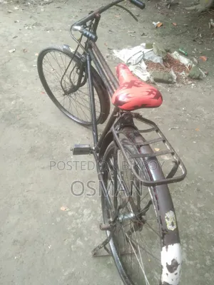 ফিনিক্স সাইকেল