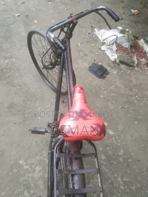 ফিনিক্স সাইকেল