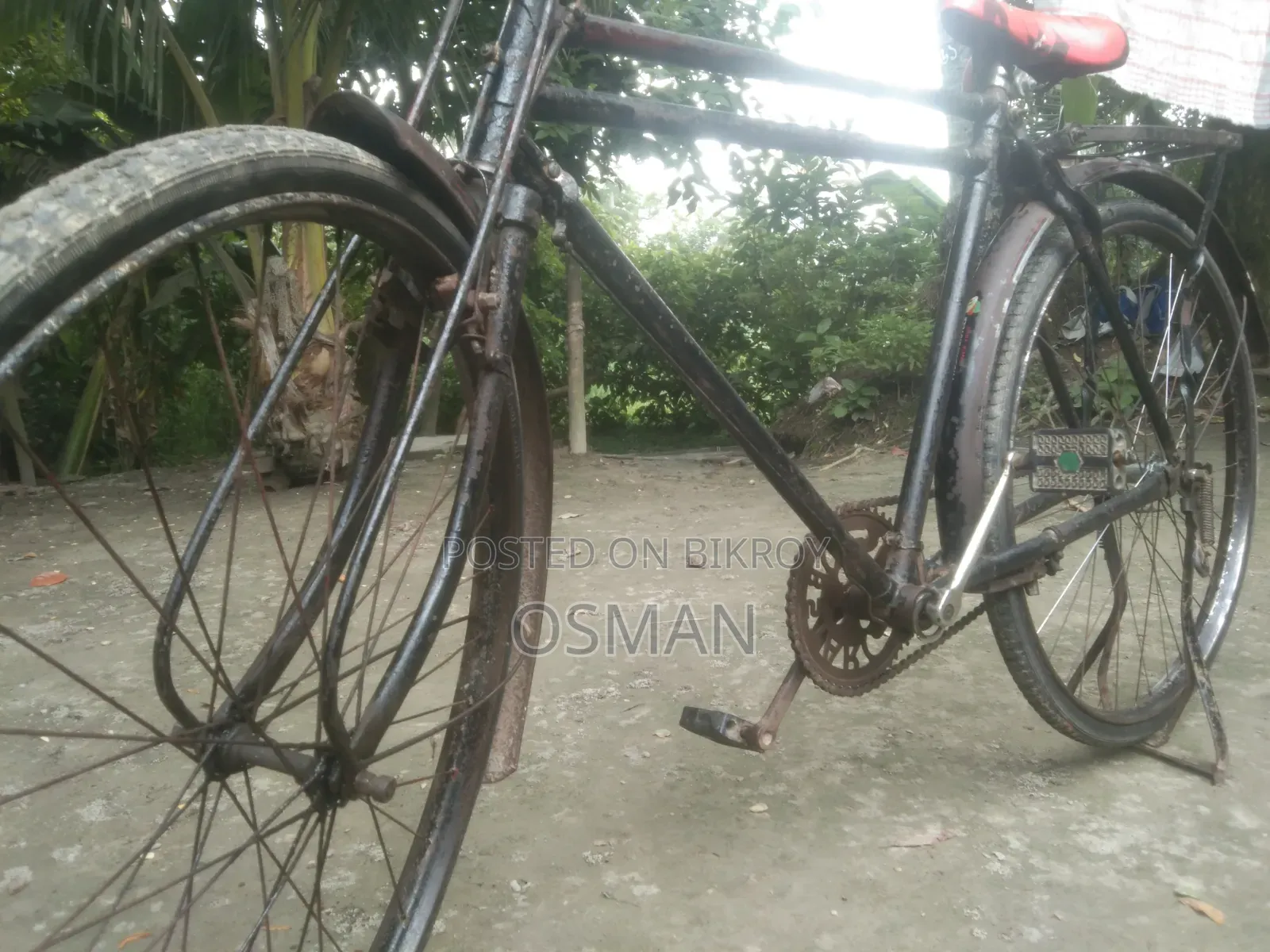 ফিনিক্স সাইকেল