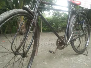 ফিনিক্স সাইকেল