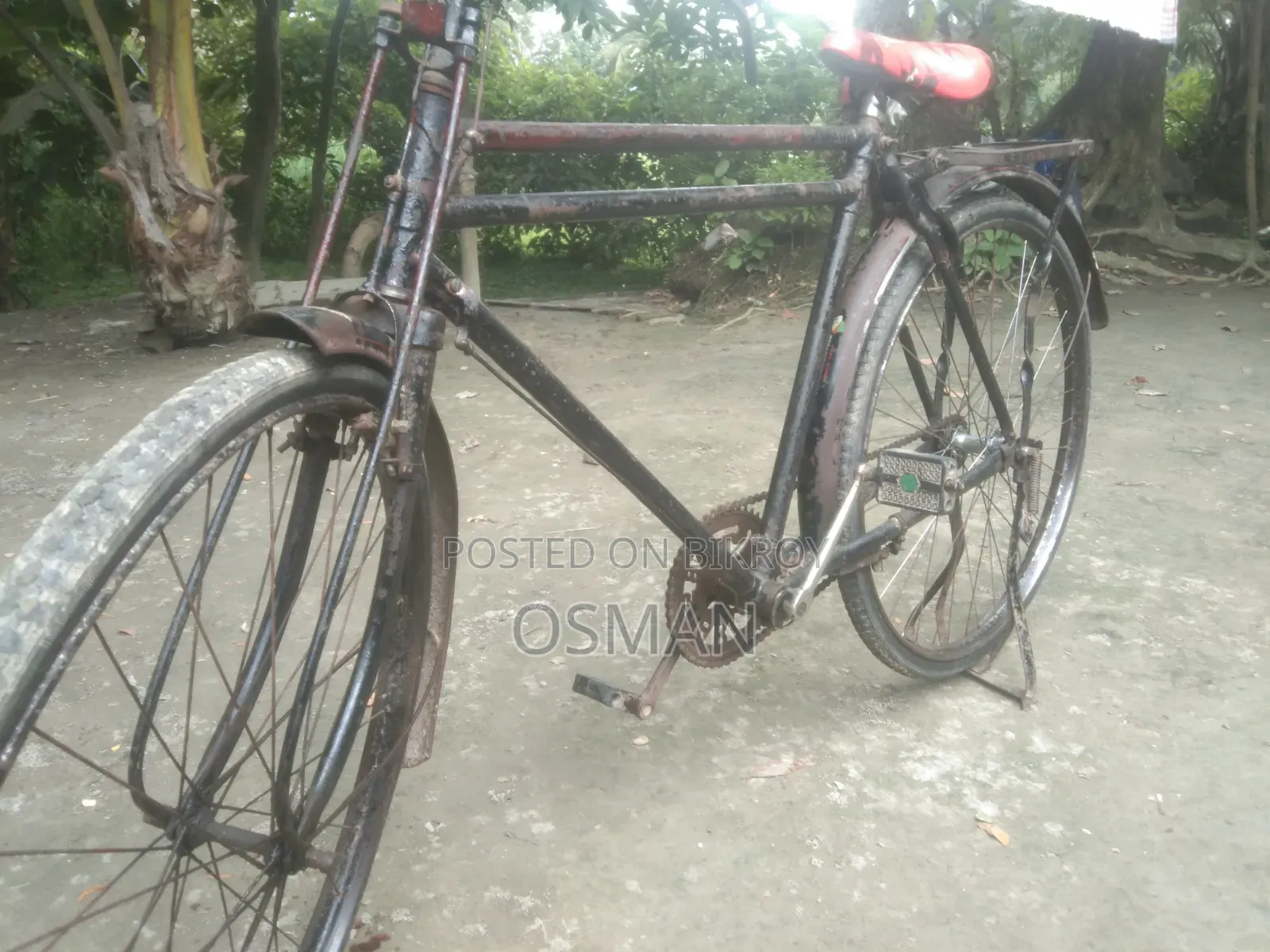 ফিনিক্স সাইকেল