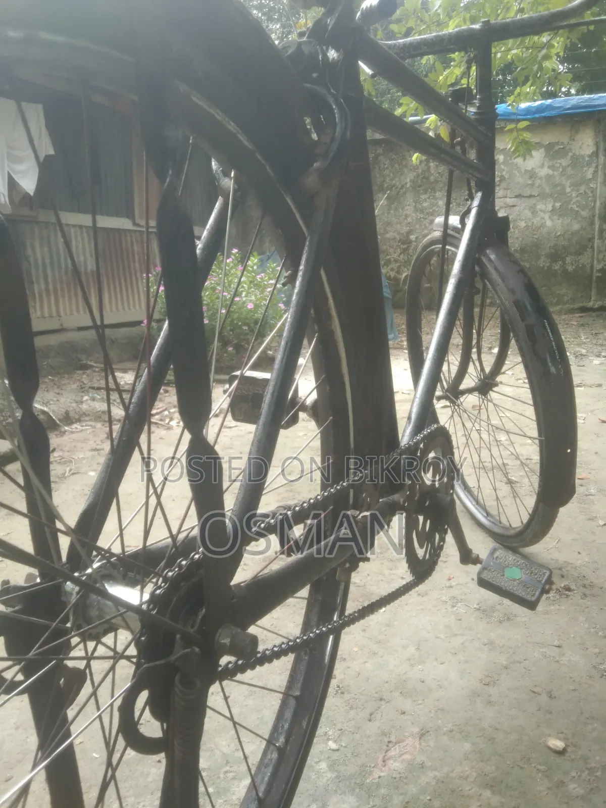 ফিনিক্স সাইকেল
