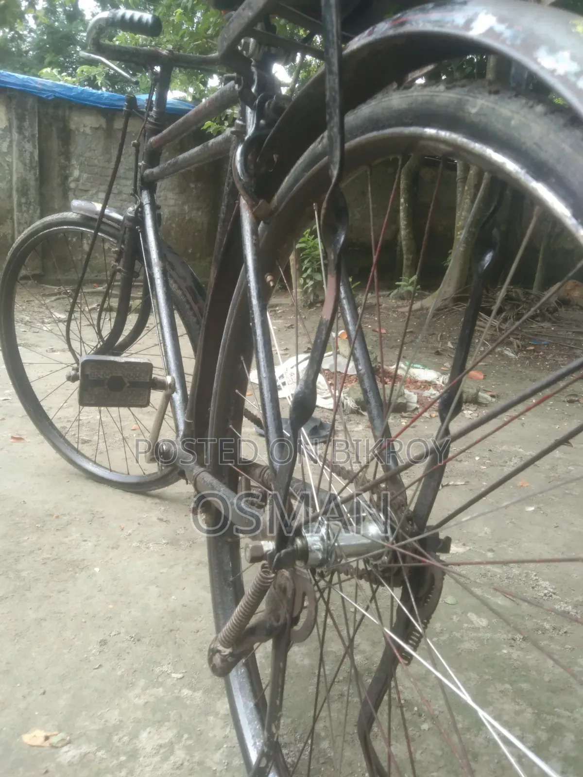 ফিনিক্স সাইকেল