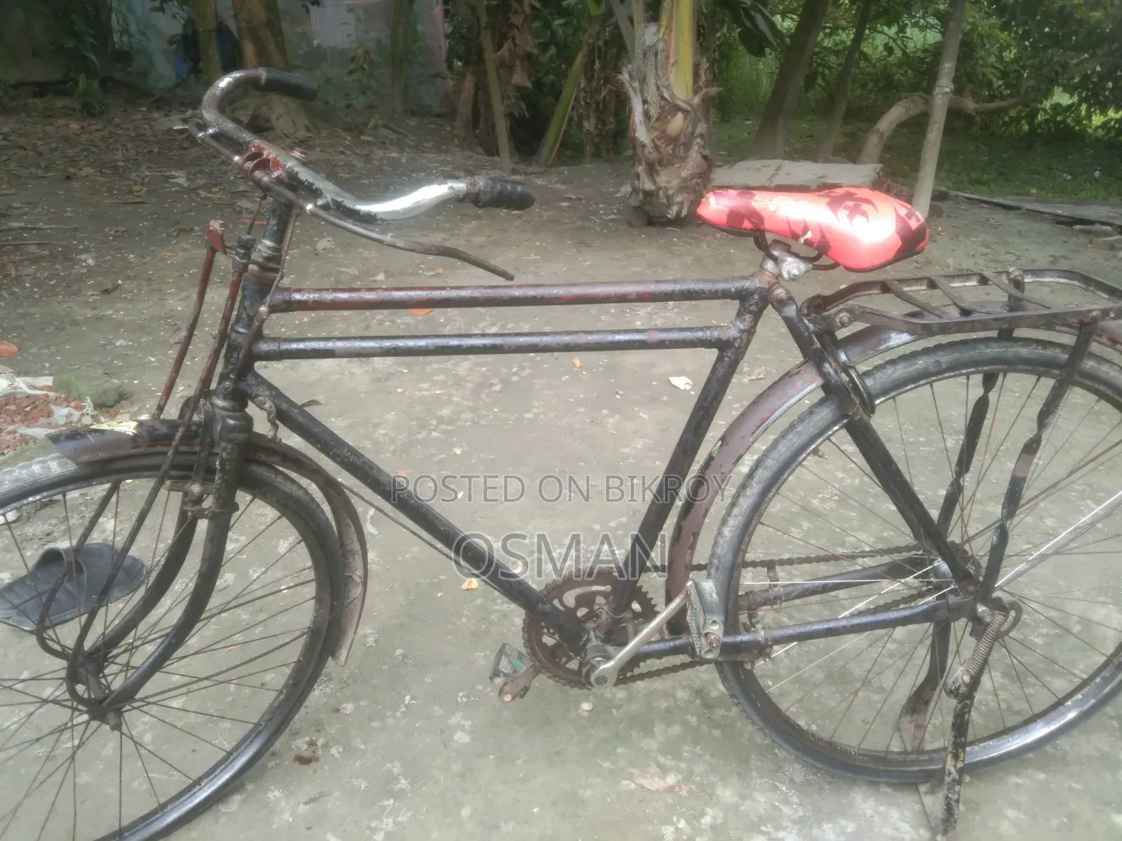 ফিনিক্স সাইকেল