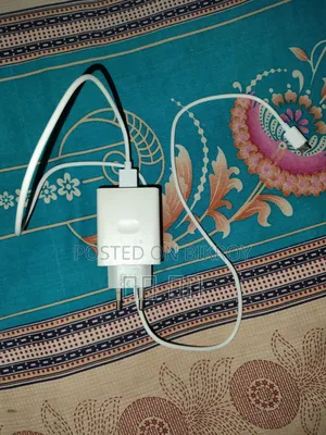 18W Charger....