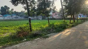 Land will be rented on a 15-year contract.