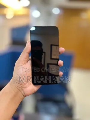 Apple iPhone 13 Pro Max 256 GB Gray