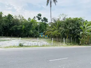 Suitable land for building a warehouse/factory on the Bhola-Barishal highway.
