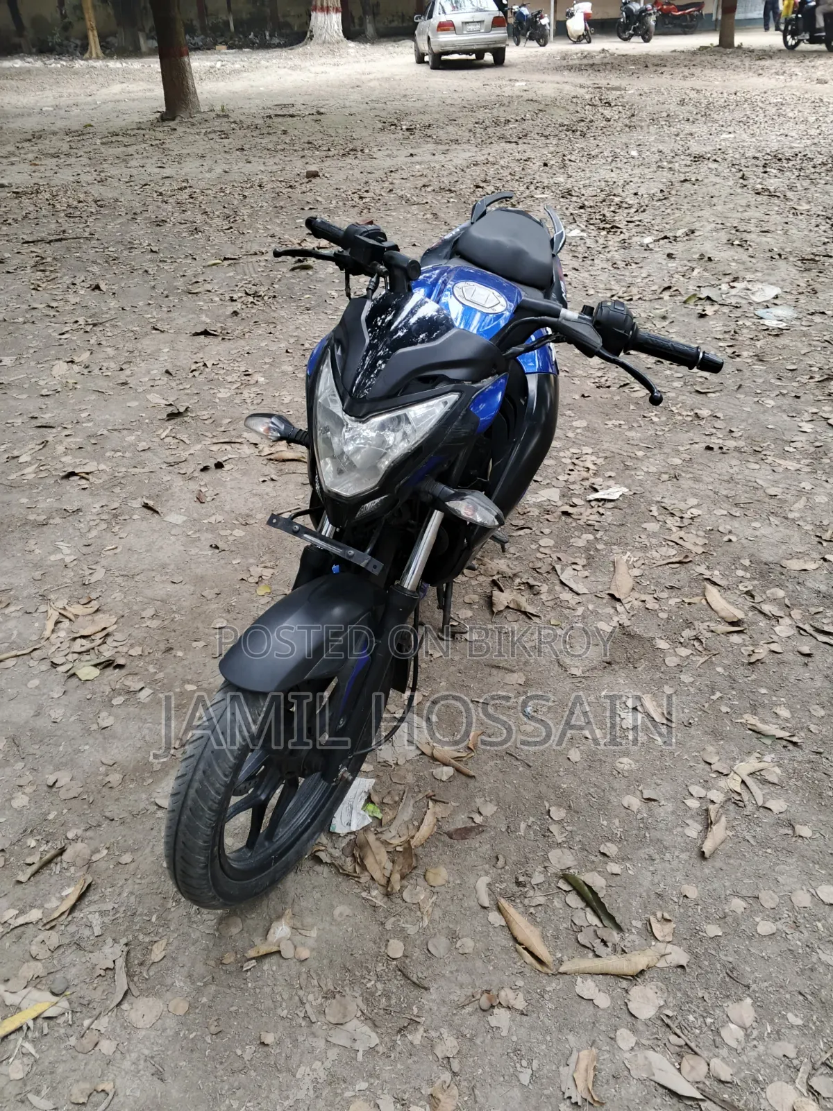 Bajaj Pulsar NS 160 2019 Blue