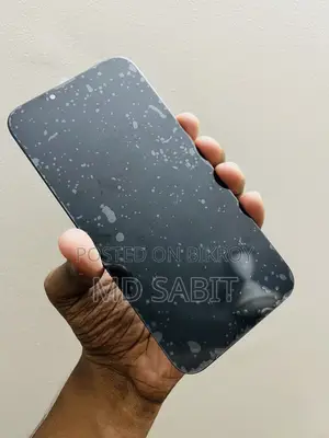 আইফোন ১৩ প্রো ম্যাক্স আইপিএস ডিসপ্লে