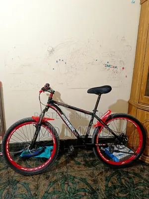 Bicycle Full Ok