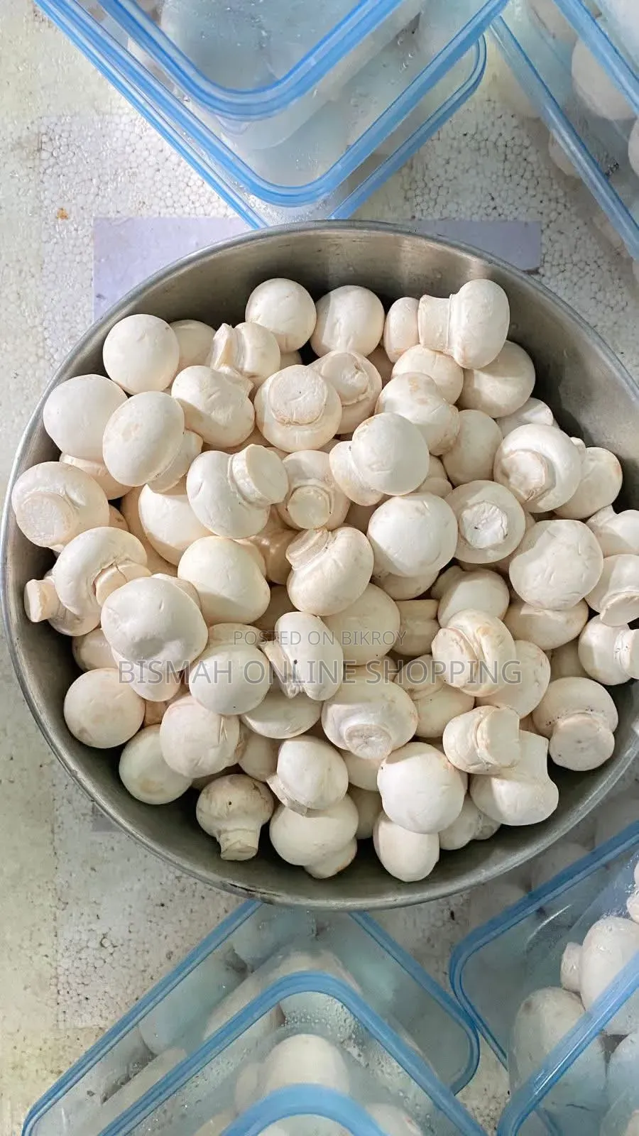 Oyster Mushroom Button Mushroom