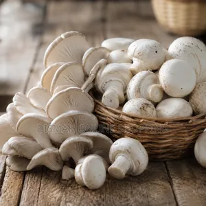 Oyster Mushroom Button Mushroom