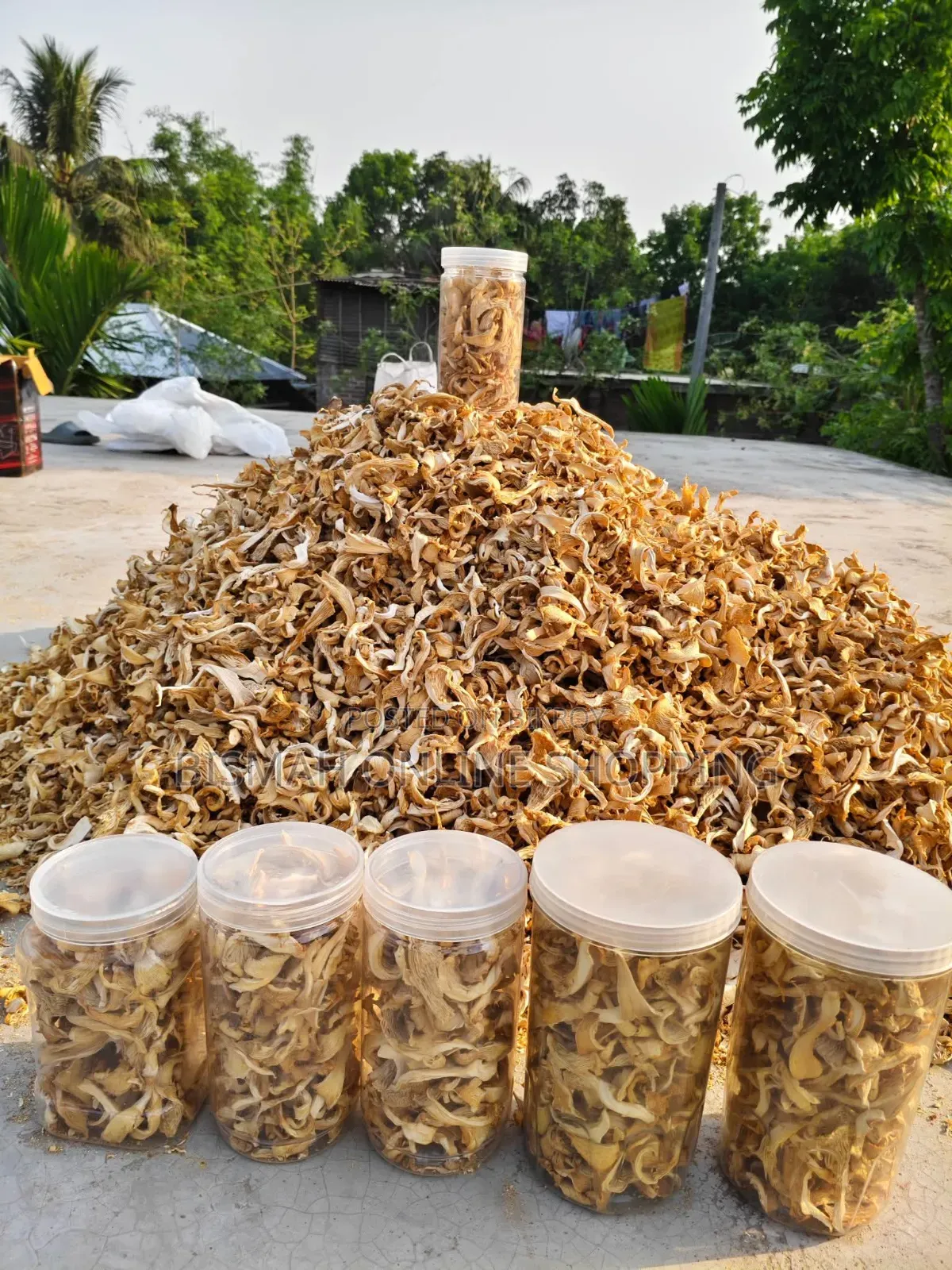 শুকনা ওয়েস্টার মাশরুম | Buy Dried Mushroom Online