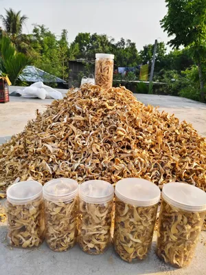 Dried Oyster Mushroom | Buy Dried Mushroom Online