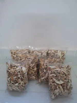 শুকনা ওয়েস্টার মাশরুম | Buy Dried Mushroom Online