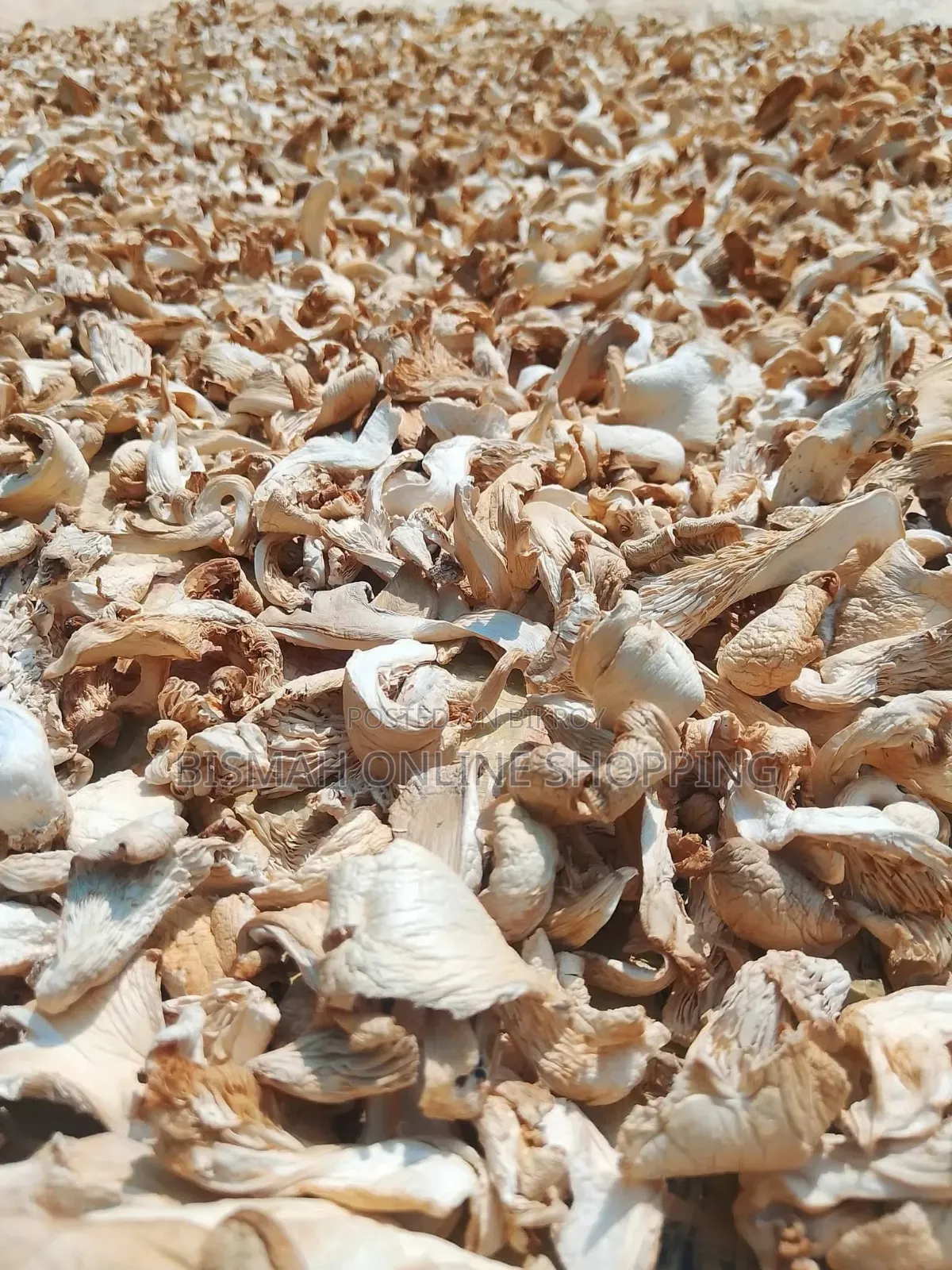 শুকনা ওয়েস্টার মাশরুম | Buy Dried Mushroom Online