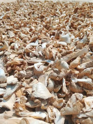শুকনা ওয়েস্টার মাশরুম | Buy Dried Mushroom Online