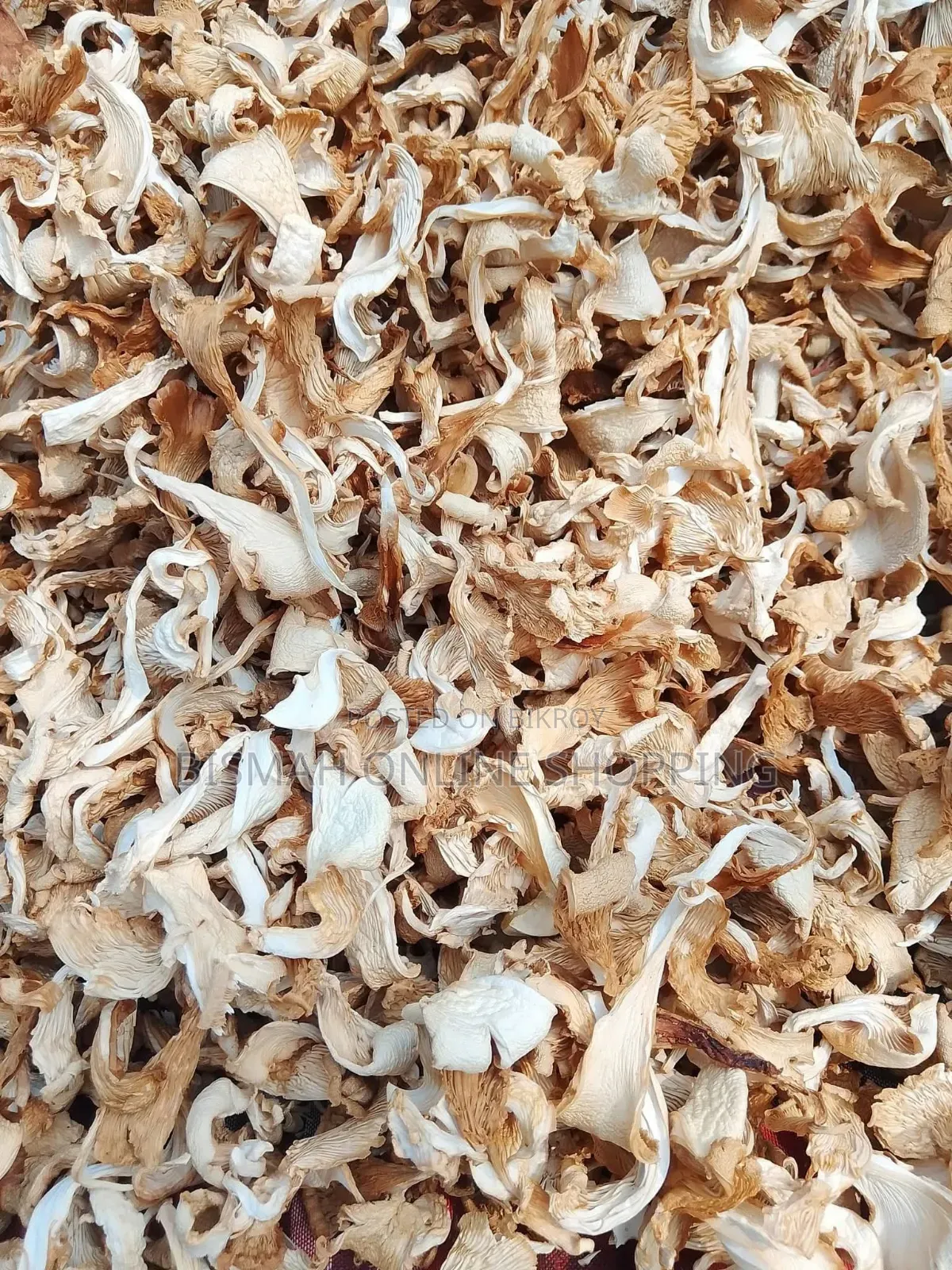 শুকনা ওয়েস্টার মাশরুম | Buy Dried Mushroom Online