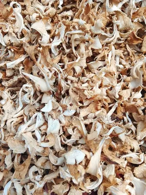 শুকনা ওয়েস্টার মাশরুম | Buy Dried Mushroom Online