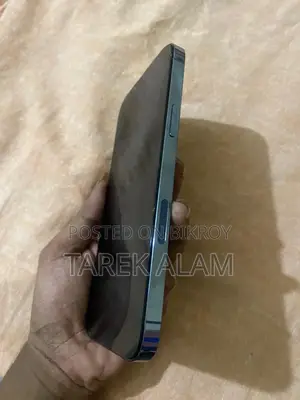 Apple iPhone 13 Pro Max 256 GB Gray