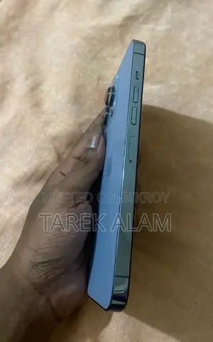 Apple iPhone 13 Pro Max 256 GB Gray