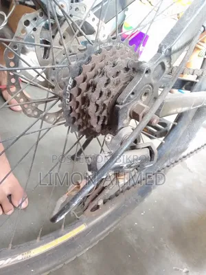 Cycle for Sale