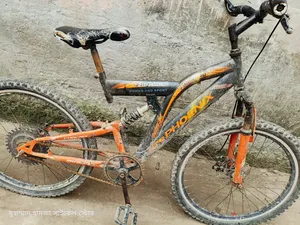 Non-gear Bicycle