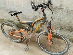 Non-gear Bicycle