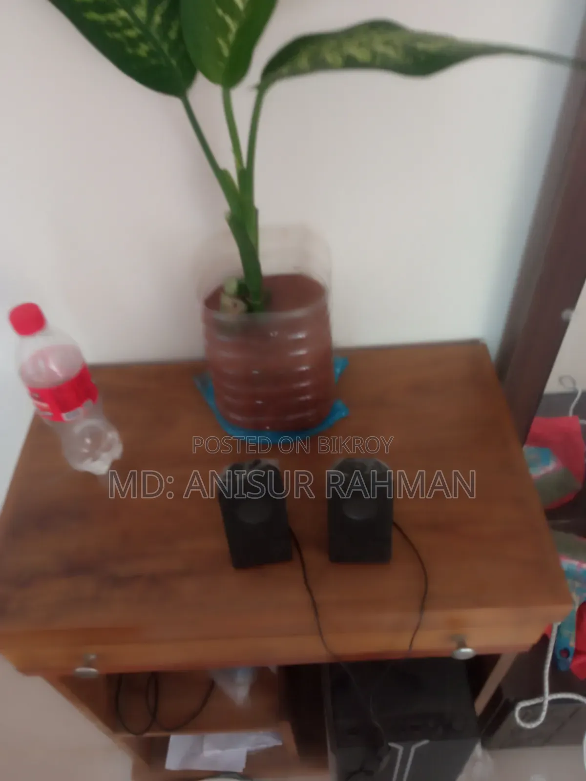 মাল্টিমিডিয়া স্পিকার