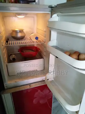 Kelvinator Refrigerator