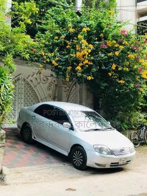 Toyota Corolla 2002 Silver