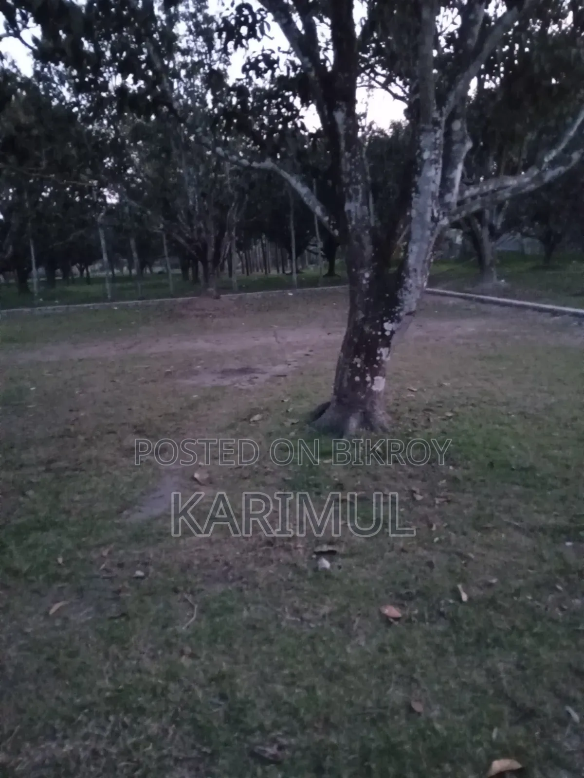 4.5 Katha Land with 15 Feet Road Access