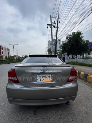 Toyota Axio 2008 Gray