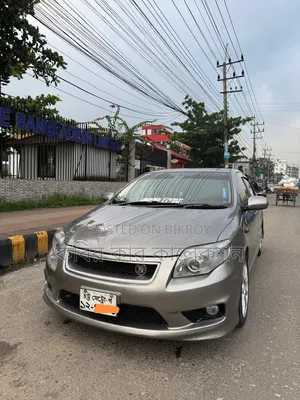 Toyota Axio 2008 Gray