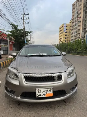 Toyota Axio 2008 Gray