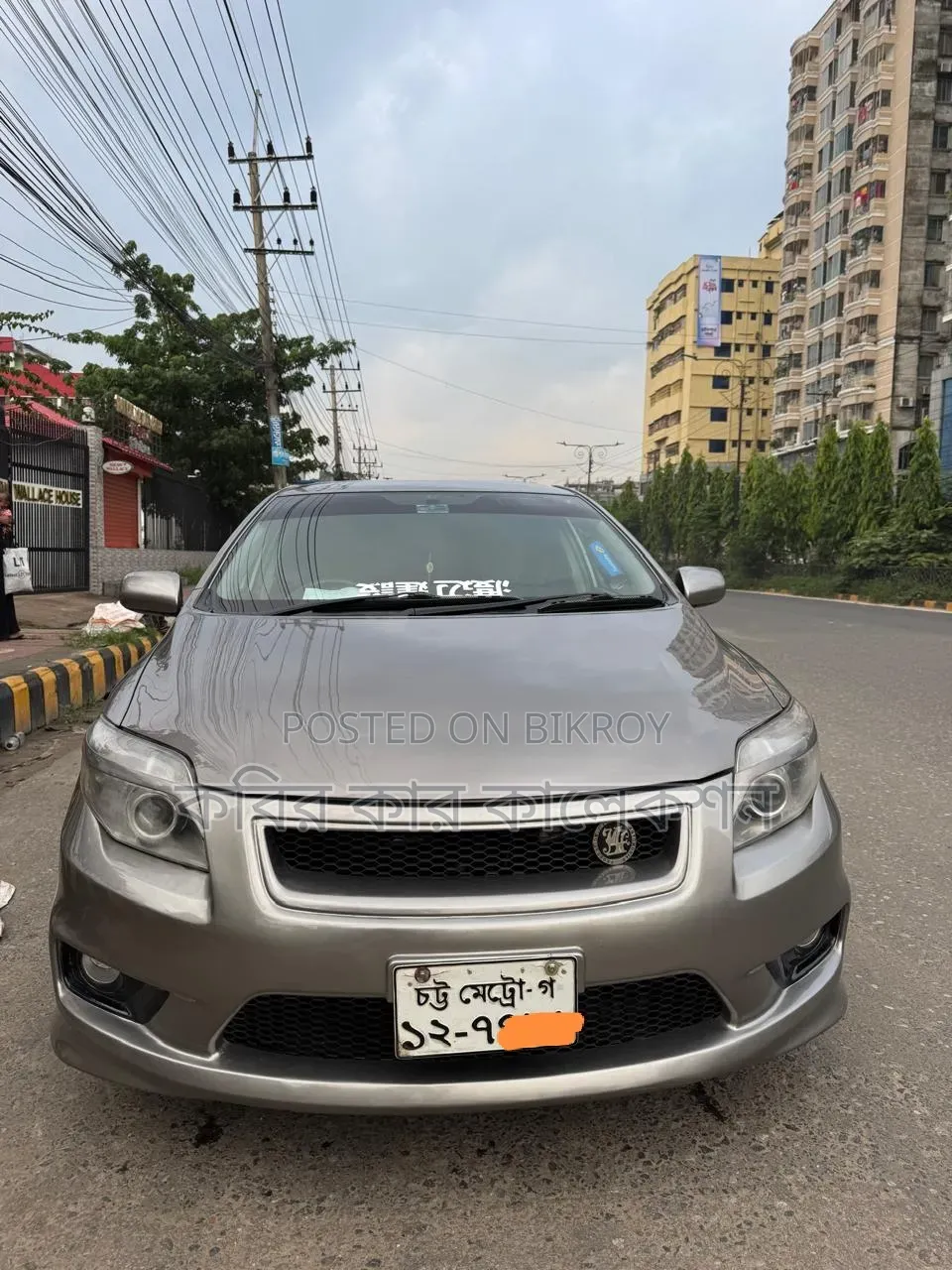 Toyota Axio 2008 Gray