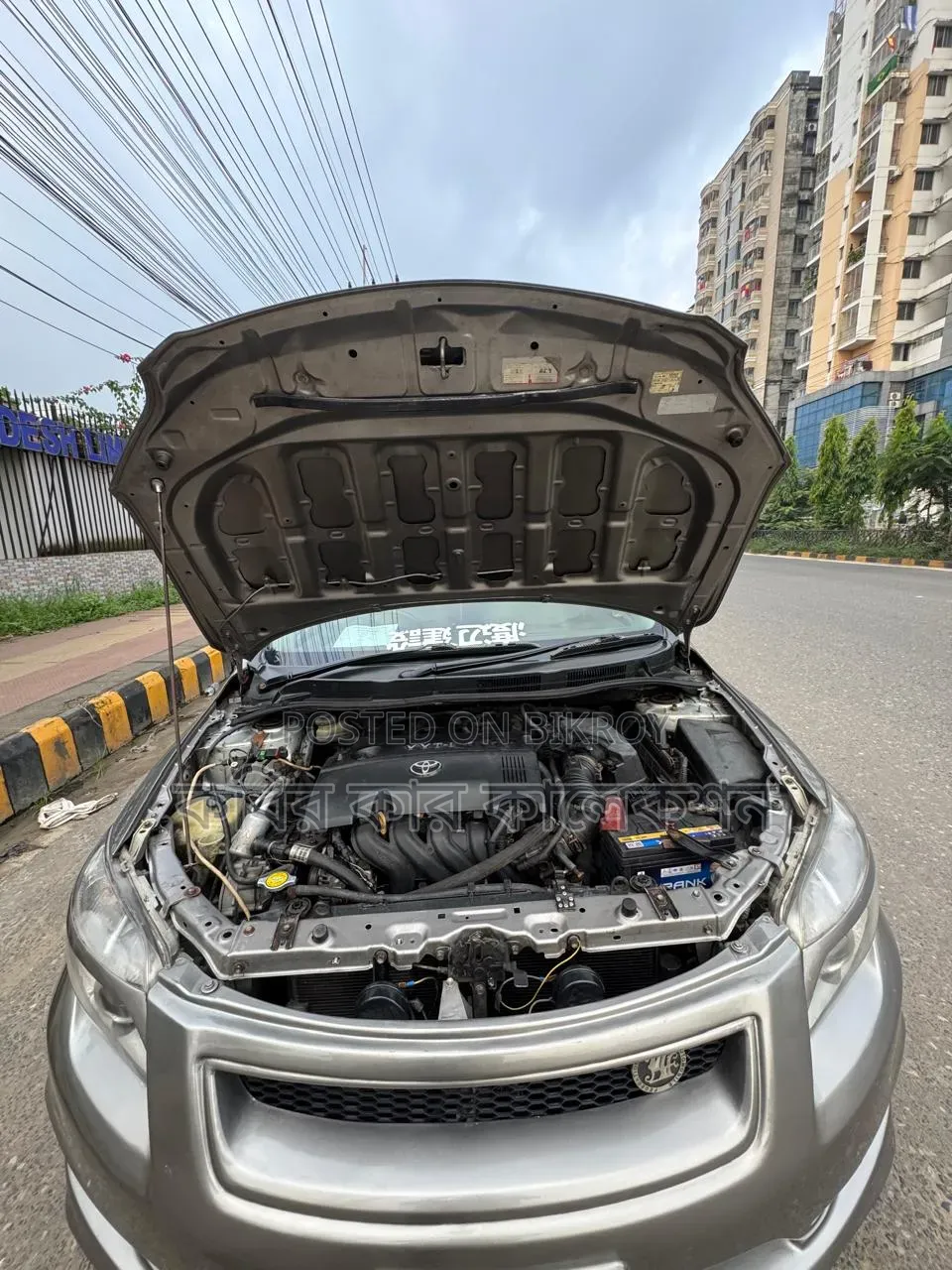 Toyota Axio 2008 Gray