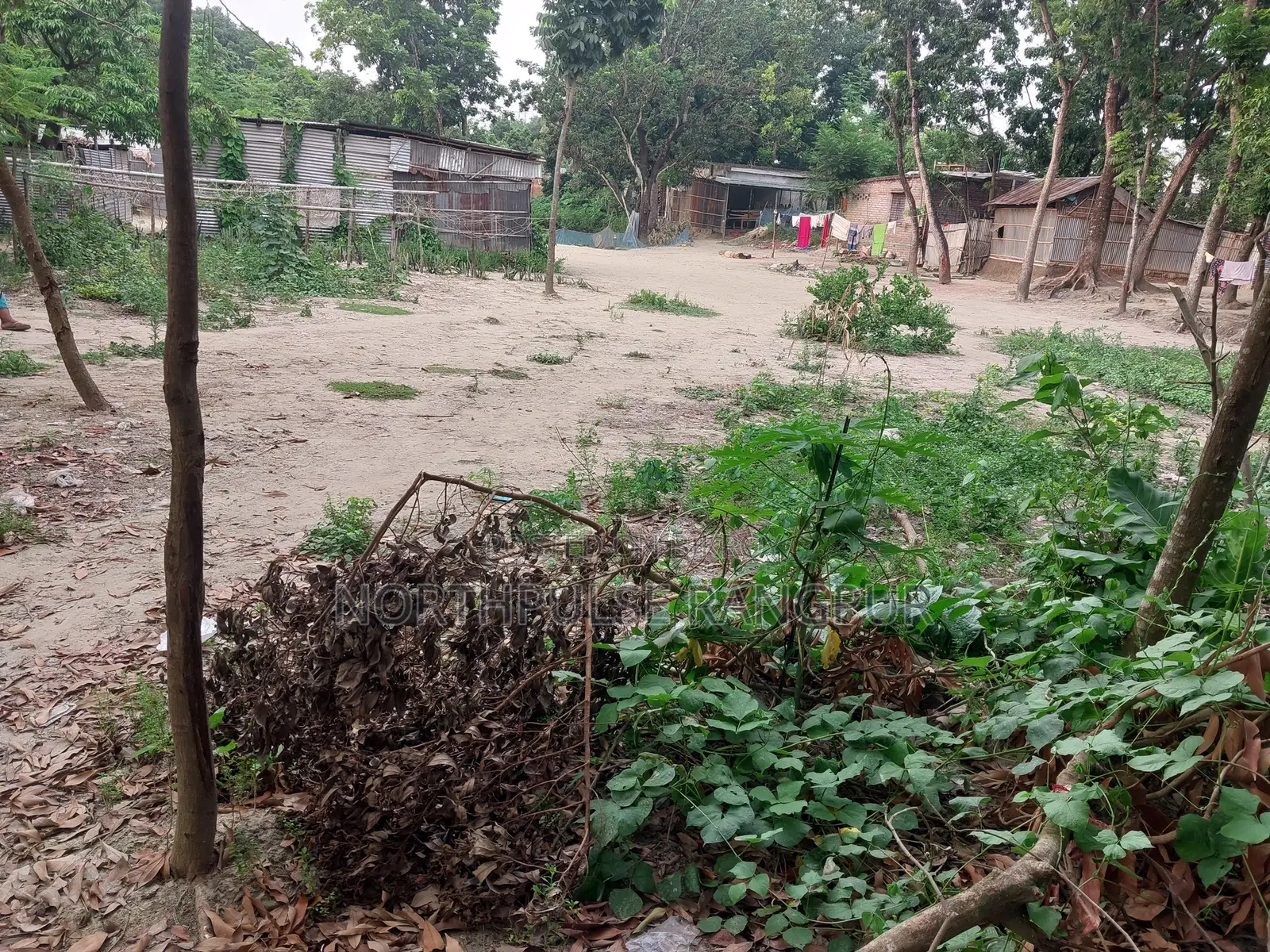 2 katha of residential land for sale in Mushrail Mouza, Rajshahi