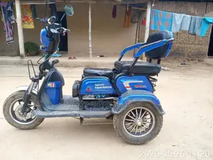 ইলেকট্রিক বাইক ২০২৩ ব্লু