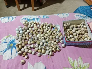 ডেস্কটপ কম্পিউটার গিগাবাইট ৮জিবি ইন্টেল কোর আই৭ এসএসএইচডি+এসএসডি ৪টিবি