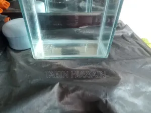 Betta Tank Tar Sate Ak Pair Mix Guppy Free(Price Fixed)