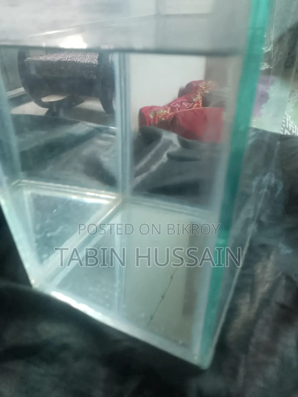 Betta Tank Tar Sate Ak Pair Mix Guppy Free(Price Fixed)