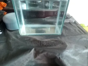 Betta Tank Tar Sate Ak Pair Mix Guppy Free(Price Fixed)
