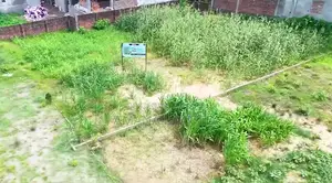 Land Share