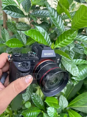 Sony A7ii With Samyang 24mm Lens