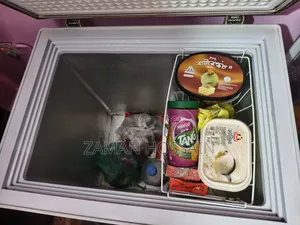 Singer Deep Freezer