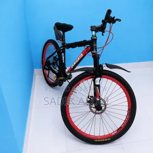 Duranta X200 Plus Cycle For Sell